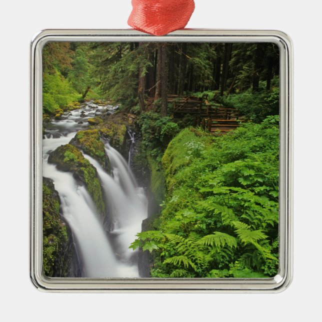 Sol Duc Falls i Olympic National Park om 2 Julgransprydnad Metall (Framsidan)