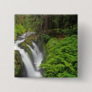 Sol Duc Falls i Olympic National Park om 2 Knapp
