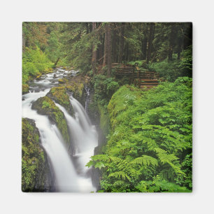 Sol Duc Falls i Olympic National Park om 2 Magnet