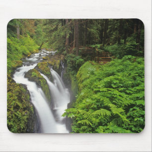 Sol Duc Falls i Olympic National Park om 2 Musmatta