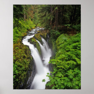 Sol Duc Falls i Olympic National Park om 2 Poster