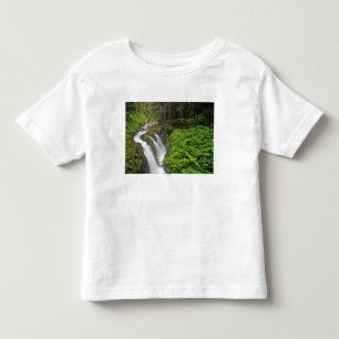 Sol Duc Falls i Olympic National Park om 2 T-shirt
