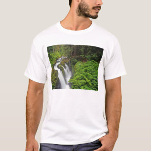 Sol Duc Falls i Olympic National Park om 2 Tee Shirt