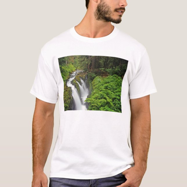 Sol Duc Falls i Olympic National Park om 2 Tee Shirt (Framsida)