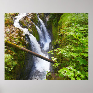 Sol Duc Falls I vid Olympic National Park Poster