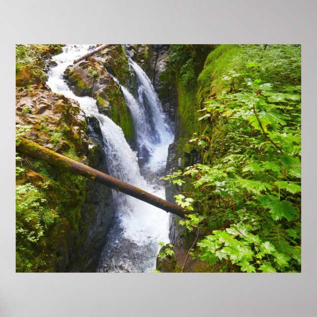 Sol Duc Falls I vid Olympic National Park Poster (Framsidan)