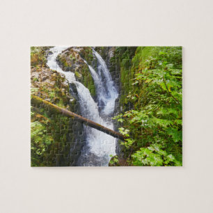 Sol Duc Falls I vid Olympic National Park Pussel