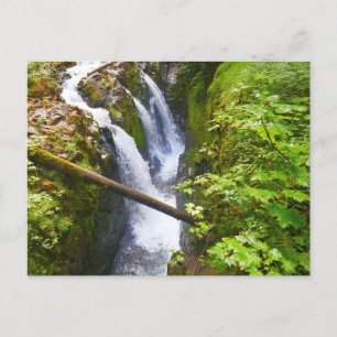 Sol Duc Falls I vid Olympic National Park Vykort