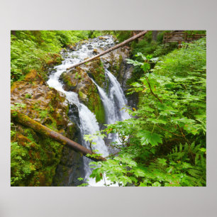 Sol Duc Falls II i Olympic National Park Poster