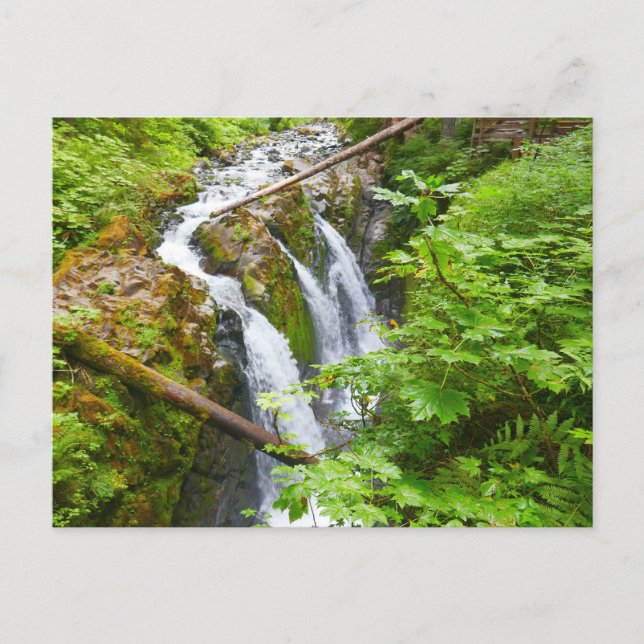 Sol Duc Falls II i Olympic National Park Vykort (Framsida)