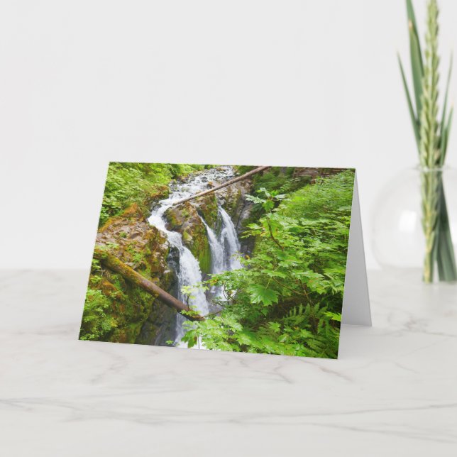 Sol Duc Falls II vid Olympic National Park Kort (Framsida)