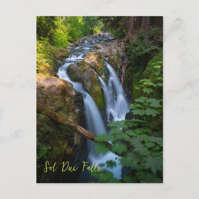 Sol Duc Falls Olympic National Park Washington Vykort (Framsida)