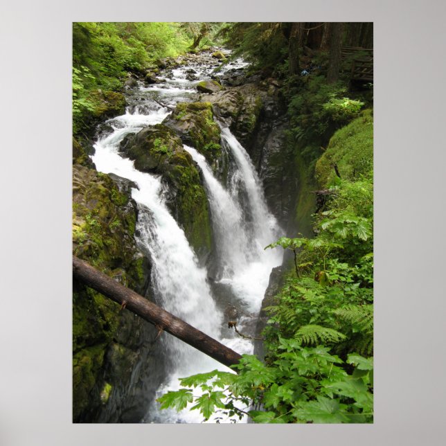 Sol Duc Falls Poster (Framsidan)