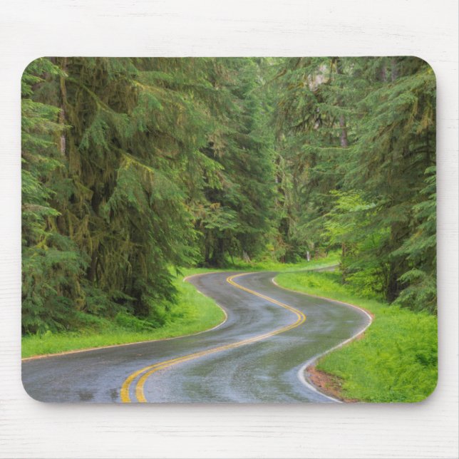 Sol Duc-flodsvägen genom skog Musmatta (Framsidan)