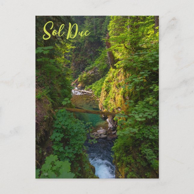 Sol Duc River Olympic nationalpark Washington Vykort (Framsida)