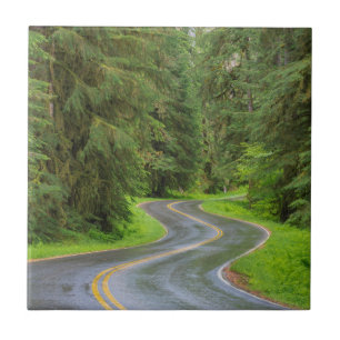 Sol Duc River Road genom skog Kakelplatta