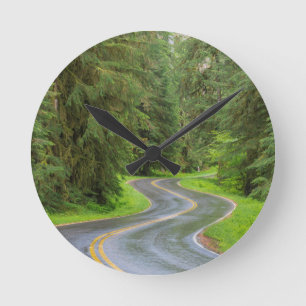 Sol Duc River Road genom skog Rund Klocka