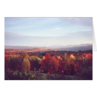 "Sol fångar tretton" OBS Kort