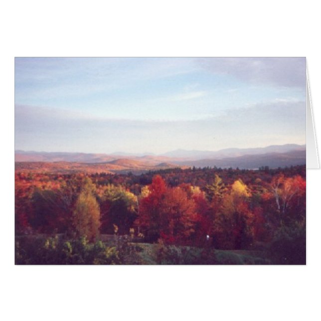 "Sol fångar tretton" OBS Kort (Framsidan Horizontal)