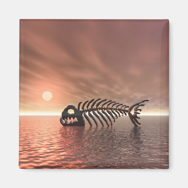 Sol Fish Magnet (Framsidan)