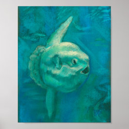 Sol Fish, Mola Mola Ocean underwater Animals Art P Poster