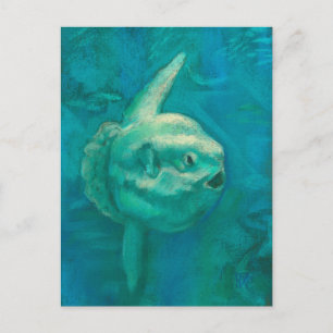 Sol Fisk, Mola Mola Ocean Underwater Animals Art Vykort