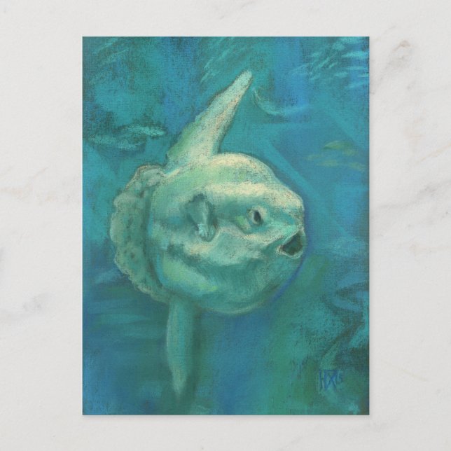 Sol Fisk, Mola Mola Ocean Underwater Animals Art Vykort (Framsida)