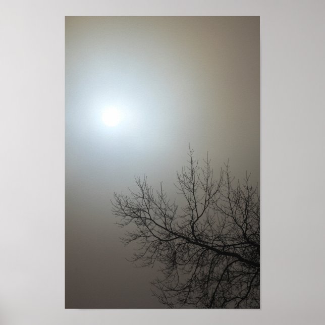 Sol, Fog, Träd-Ohio Poster (Framsidan)