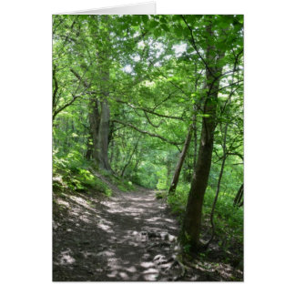 Sol genom Träd Hälsningskort