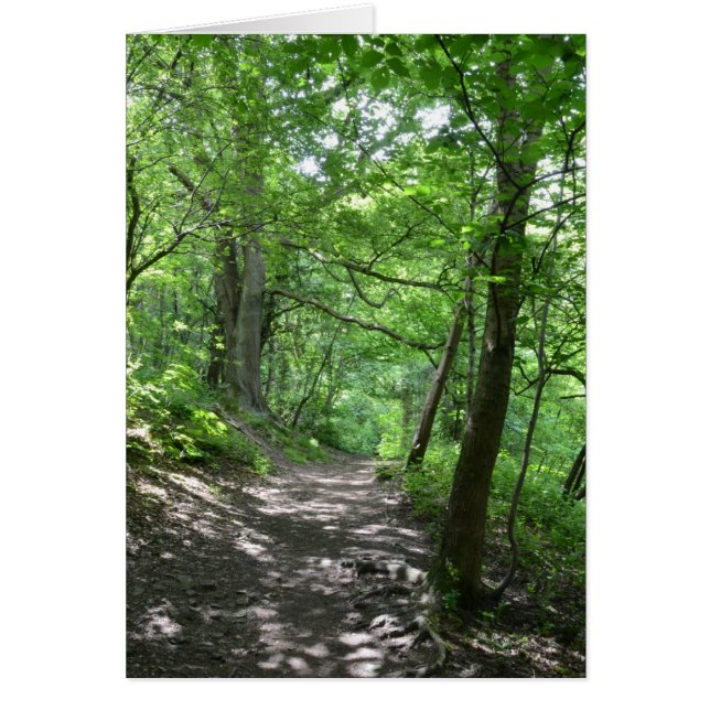 Sol genom Träd Hälsningskort (Framsidan)