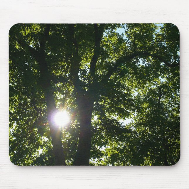 Sol genom Träd Musmatta (Framsidan)