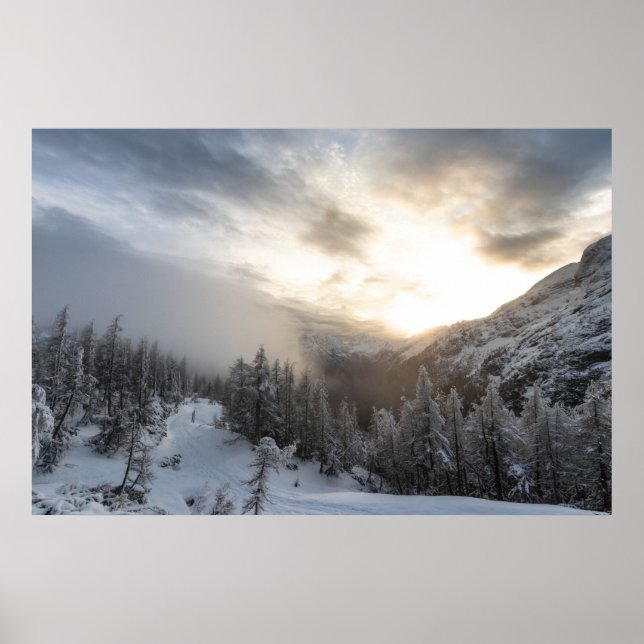 Sol ger skugga vid bedövande vinterlandskap poster (Framsidan)