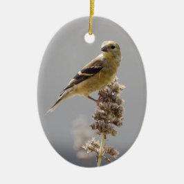 Sol Giled Goldfinch Julgransprydnad Keramik