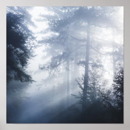 Sol glider genom skumskog poster