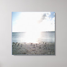 Sol gloria vid stranden