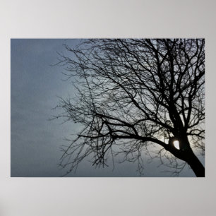 sol gömmer poster