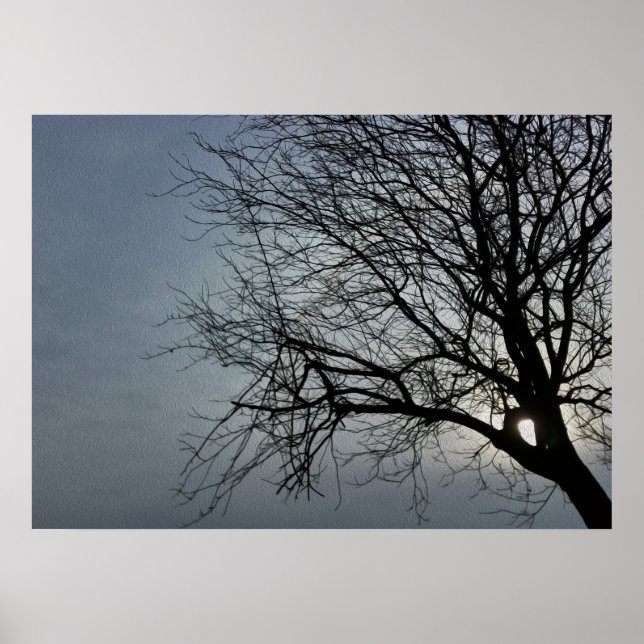 sol gömmer poster (Framsidan)