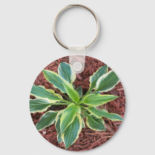 Sol Hosta Nyckelring