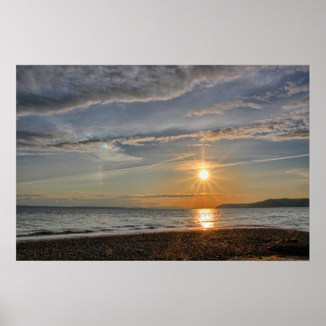 Sol Hund Poster (Framsidan)