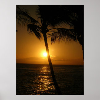 Sol i träd, ner poster