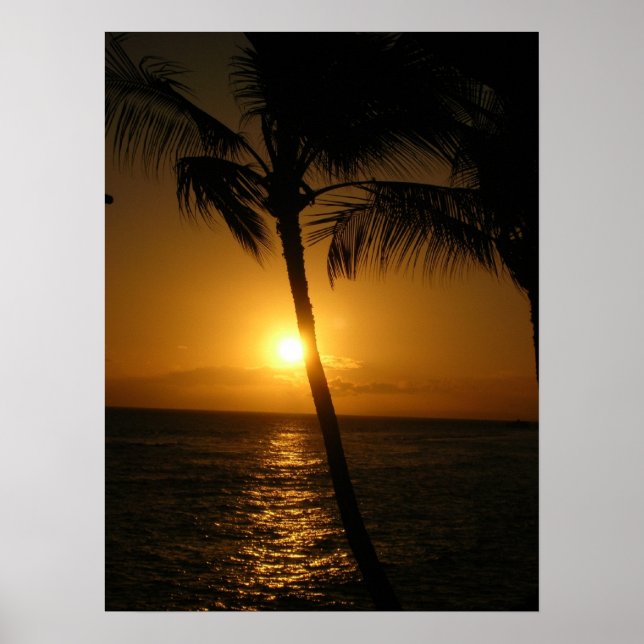 Sol i träd, ner poster (Framsidan)