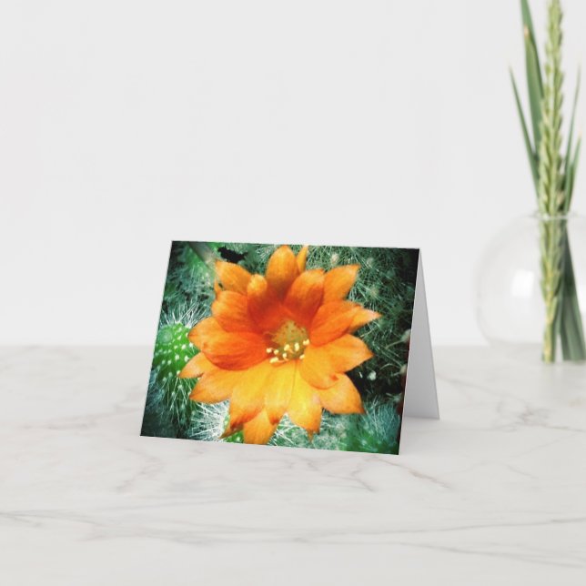 Sol kysst ökenblommatackkort tack kort (Framsida)