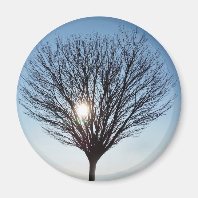 sol magnet (Framsidan)