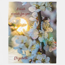 Sol och japanska aprikosblommor