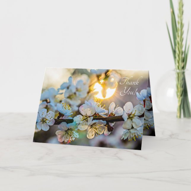 Sol och japanska aprikosblommor tack kort (Framsida)
