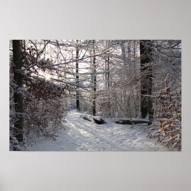 Sol och kall poster (Framsidan)