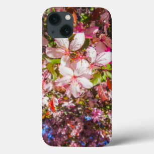 Sol och moln Natur blommar Hjärtat i blommor