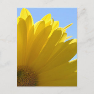 Sol om Petals Vykort