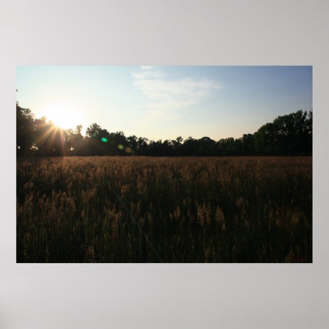 Sol över Fält #4156 Poster (Framsidan)