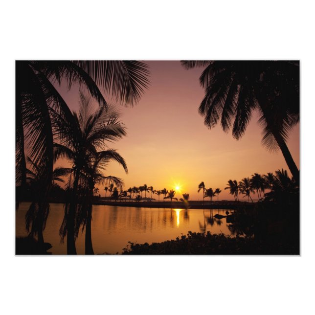 Sol på Anaeho'omalu Bay, Big Island. Fototryck (Framsidan)